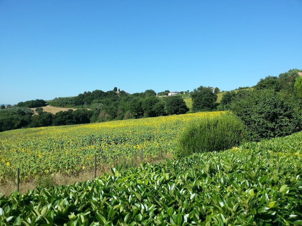Villa Il Borghetto à Todi Extérieur photo